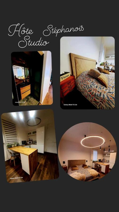 Hote Stephanois Studio, Parking& Borne Electrique Saint-Etienne  Buitenkant foto